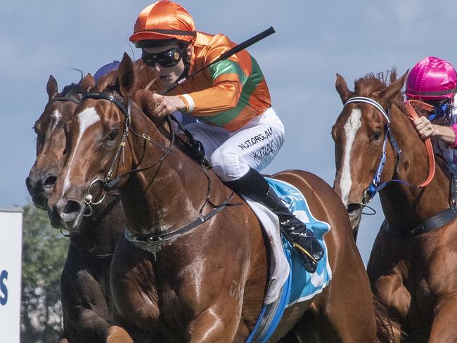 Shooting for Gold wins at Gold Coast Turf Club on September 19, 2020. Photo: GREG IRVINE/MAGIC MILLIONS
