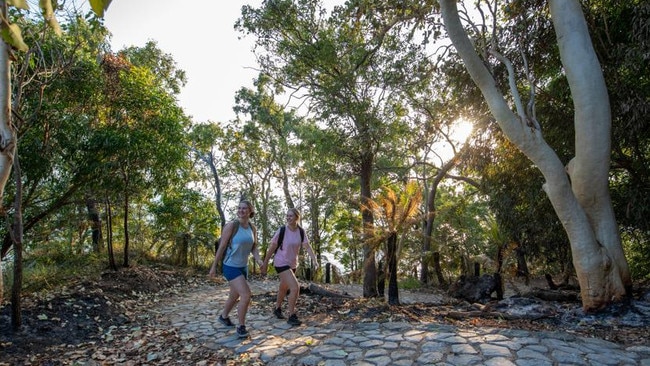 The first stage of the Wangetti Trail spans 7.8km taking in some of Far North Queensland's most spectacular landscape.