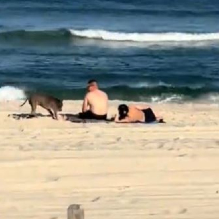 A heavily pregnant woman has shared footage of herself confronting her husband at the beach with another woman. Picture: TikTok