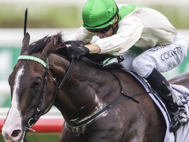 Jason Collett and Cradle Mountain combine to win the Carrington Stakes.