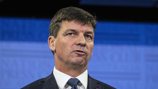 Energy Minister Angus Taylor Picture: NCA NewsWire/Gary Ramage