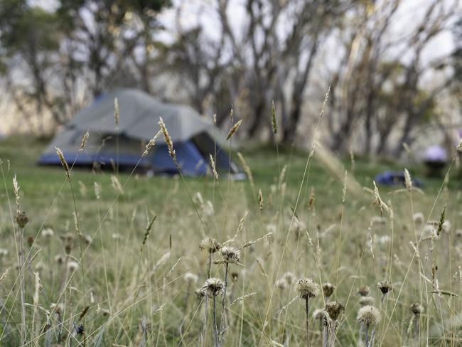 Camping in tent in the bush generic istock