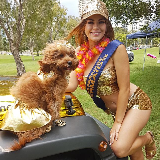 Mia the Cavoodle and Kelly Maybury at Gold Coast Meter Maid themed birthday party.