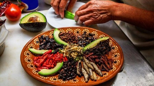 Different insect dishes from the pre-Hispanic Mexico, including acociles, chicatana ants, maguey worms, scorpions, jumiles, escamoles and chinicuiles. (Image: fitopardo)