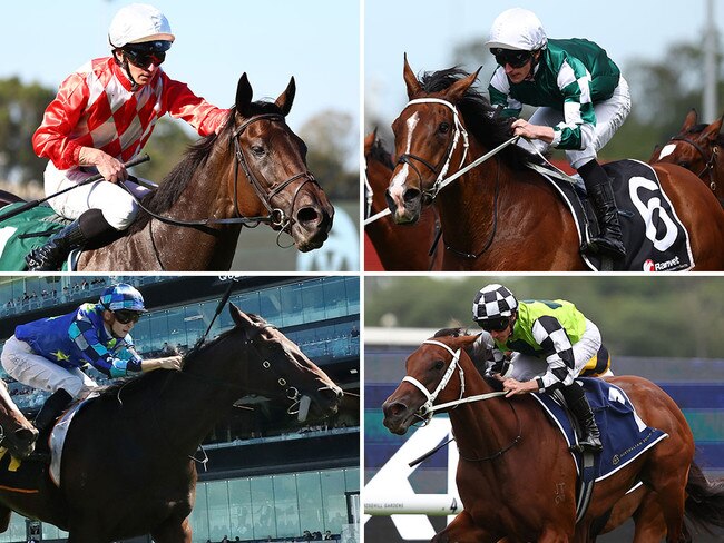 Headlining Group 1 fields at Royal Randwick on Saturday are (clockwise from top left) Orchestral (ATC Australian Oaks), Via Sistina (Queen Elizabeth Stakes), Zougotcha (Queen of the Turf) and Circle of Fire (Sydney Cup).