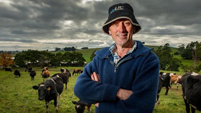 Rob Frampton with Normande cows at his farm at Gawler, Tasmania. Picture: Phillip Biggs