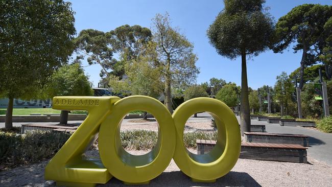 Adelaide Zoo needs its visitors, staff and volunteers to be fully vaccinated from next month. Picture: Naomi Jellicoe