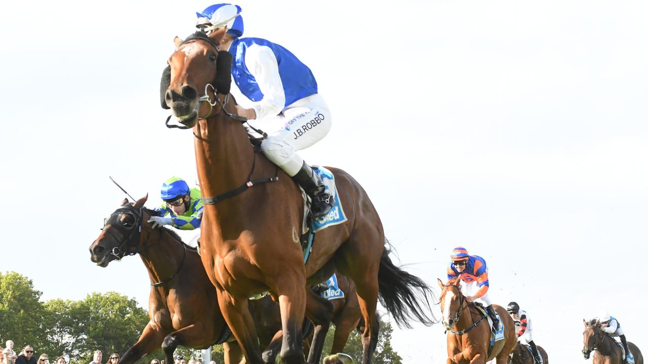 Shultzy can get back to winning ways when he steps out in wet ground at Echuca on Thursday. Picture : Racing Photos via Getty Images.