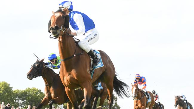 Shultzy can get back to winning ways when he steps out in wet ground at Echuca on Thursday. Picture: Racing Photos via Getty Images