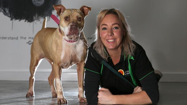 Second Chance Animal Rescue employee Nicky Fossati with Honey. Picture: George Salpigtidis