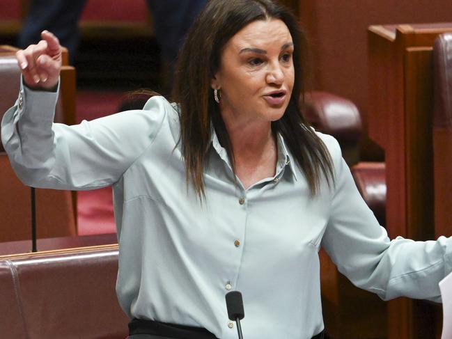 CANBERRA, AUSTRALIA  - NewsWire Photos - November 28, 2024: Senator Jacqui Lambie in the Senate at Parliament House in Canberra. Picture: NewsWire / Martin Ollman