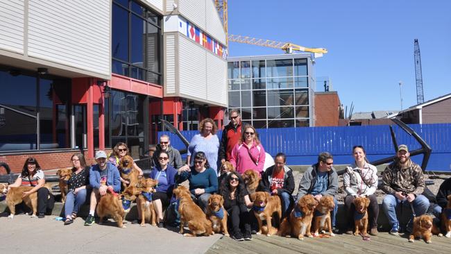 The Nova Scotia duck tolling retriever dog group that met Julia Eppingstall in Nova Scotia. Picture: Dawn Fougere