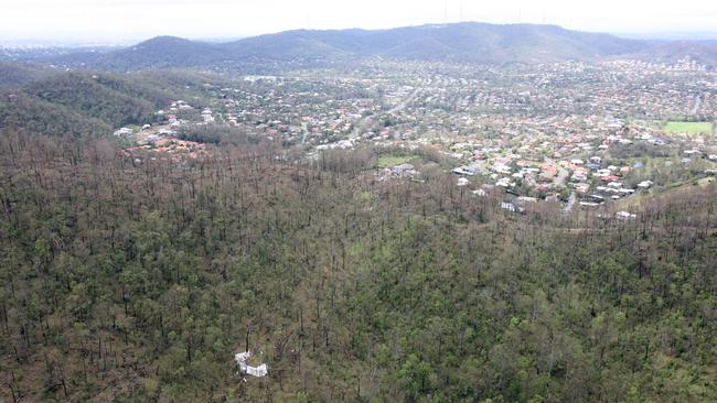 Aerial view of The Gap, which is famous for its trees. A developer has cleared all but one tree at a Waterworks Rd site (not shown in this view). Picture: Campbell Scott