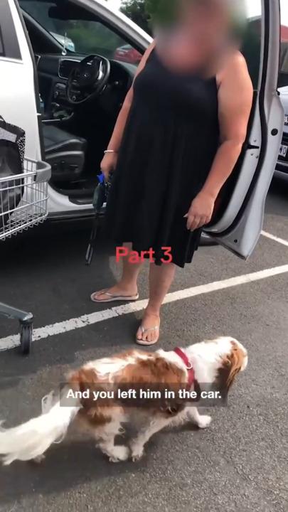 Shopper confronted for allegedly leaving dog in car