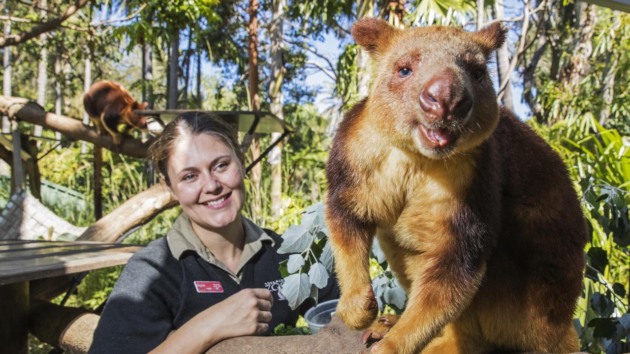 Day In The Life Of An Adelaide Zookeeper | The Advertiser