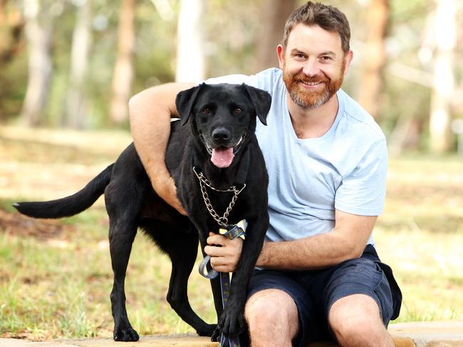 AFP sniffer dog Keogh retires from the police force | Daily Telegraph