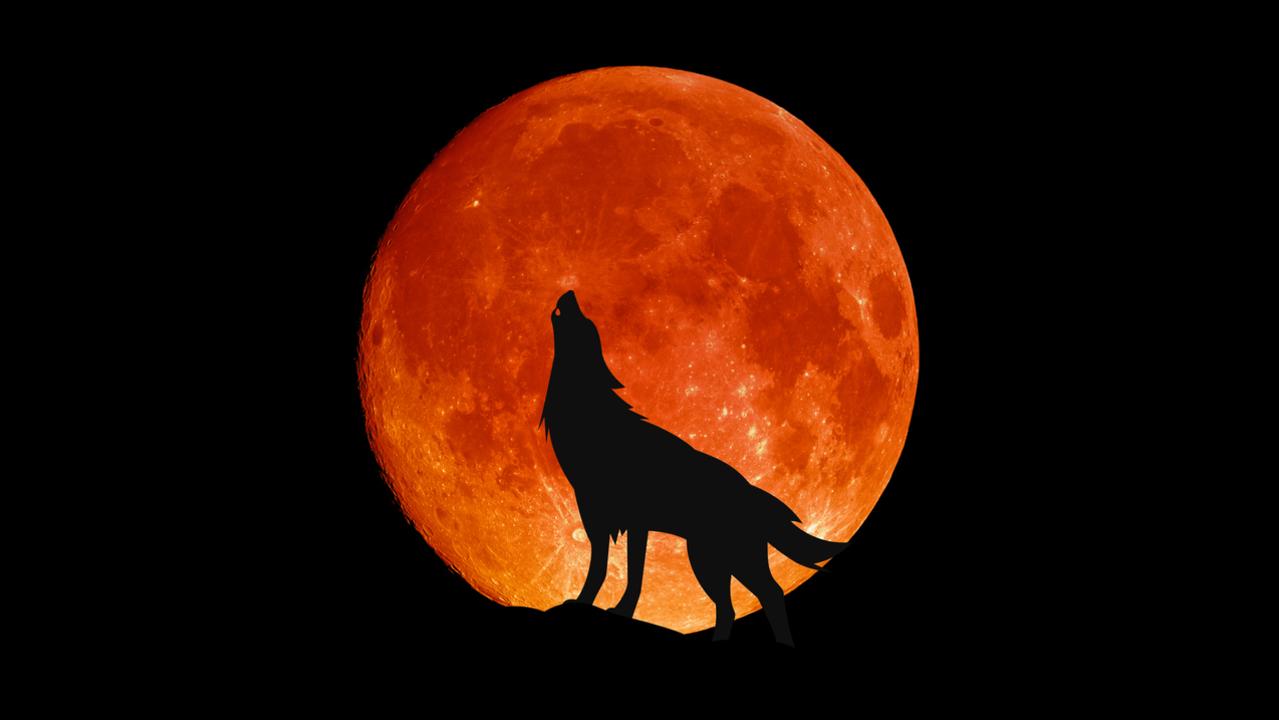 The Wolf moon is super powerful in 2022 due to the fact we’re in Mercury retrograde too. Picture: iStock