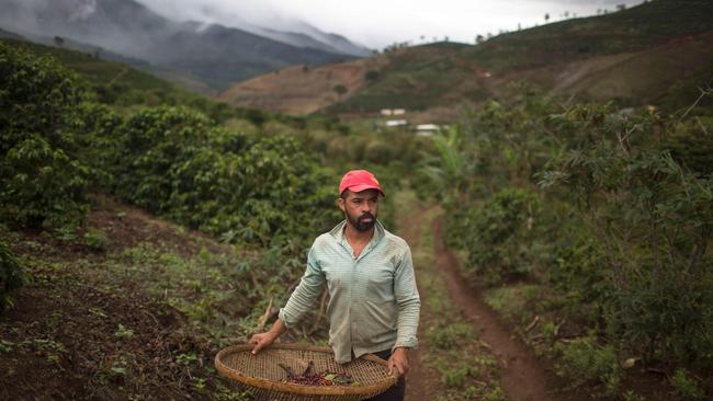 Farmers across the world are walking away from their crops, which are no longer profitable.