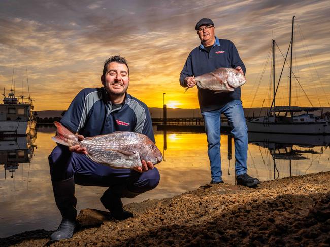 The National Bush Summit 2023 is a News Corp campaign to highlight the importance of rural and regional Australia to the rest of the nation. Seafood providores Sebastian Mezzino and son Maurie, from Port Pirie in South Australia, have operated in the region for over 70 years. Picture: Toby Zerna