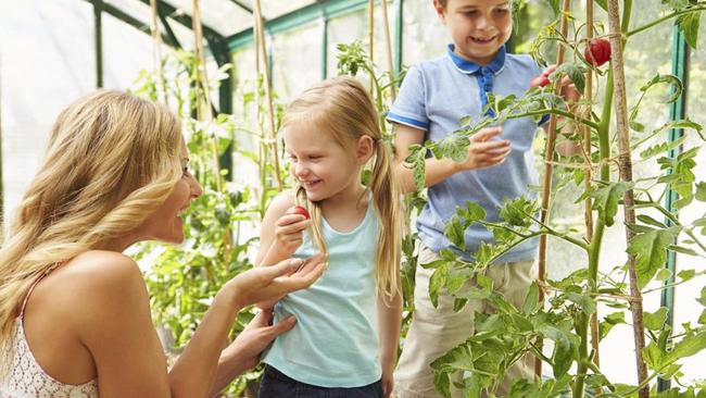 “Well done for picking that tomato Petunia. I’m going to give you a medal when we get home!”