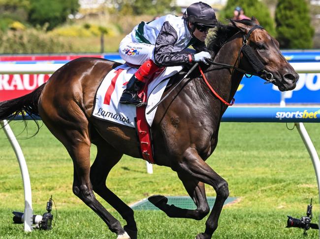 Mr Brightside (NZ) ridden by Craig Williams wins the Lamaro's Hotel Futurity Stakes at Caulfield Racecourse on February 24, 2024 in Caulfield, Australia. (Photo by Reg Ryan/Racing Photos via Getty Images)