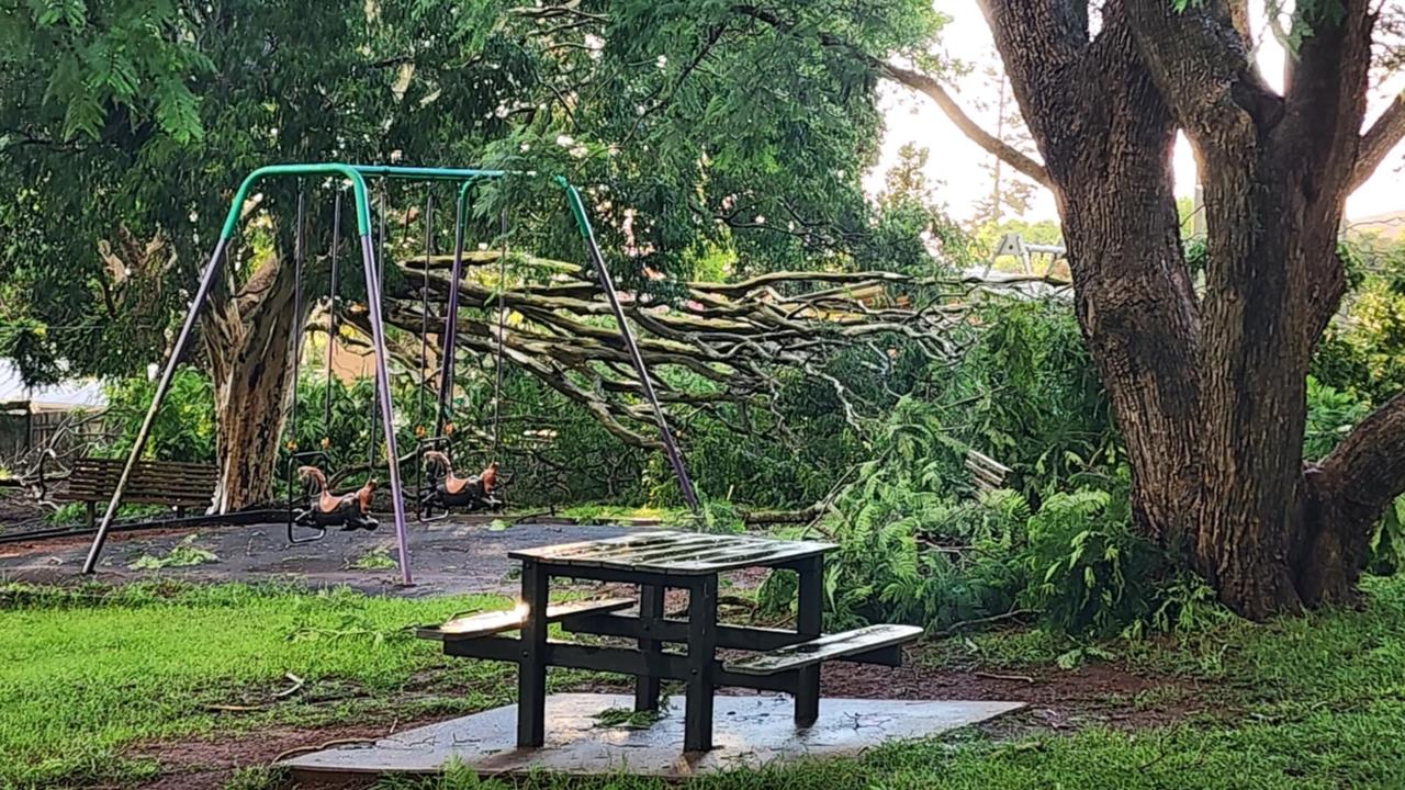 Kingaroy trees down. Picture: Kim Anderson