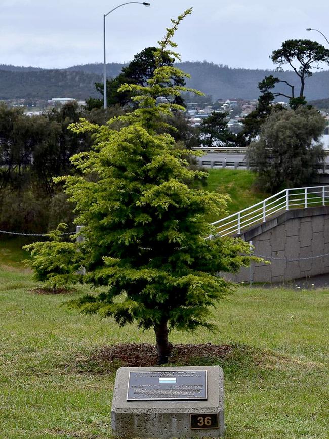 World War I soldier Frederick Einar Lange is commemorated at tree #36 on the Soldiers' Memorial Avenue in Hobart