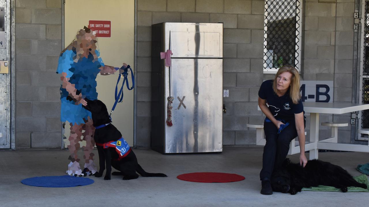 SQCC inmate trains her assistance dog. Photo: Hugh Suffell