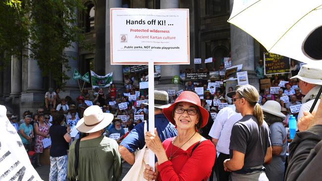 Joan Gibbs stands with protesters on the steps of Parliament House at the rally. Picture: AAP /Mark Brake