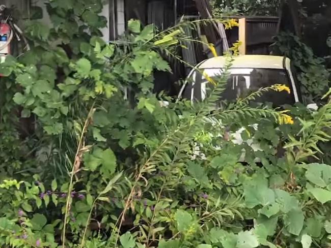 Nature has taken over in Fukushima’s red zone. Picture: Abandoned Fukushima/Exploring The Unbeaten Path.