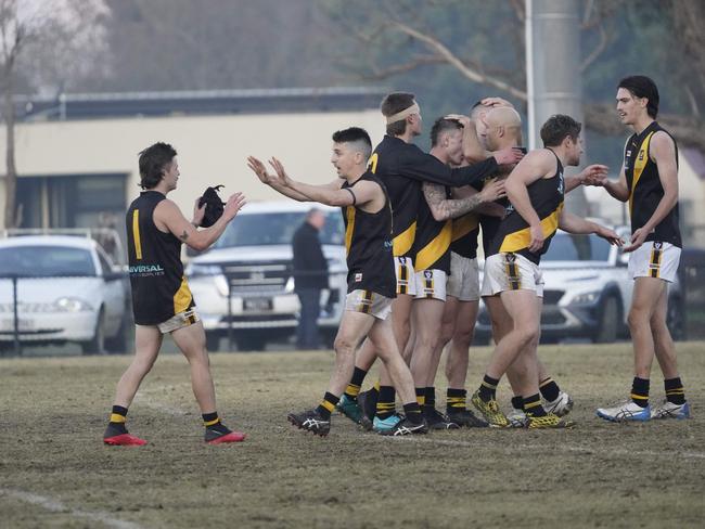 Seaford players celebrate their victory. Picture: Valeriu Campan