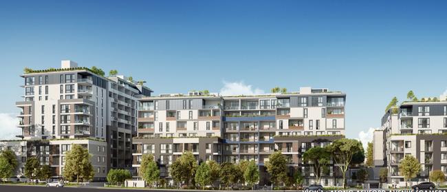 Artist impressions of the residential towers at 19-31 Ashford Avenue and 15-27 Partridge Avenue, Castle Hill. 