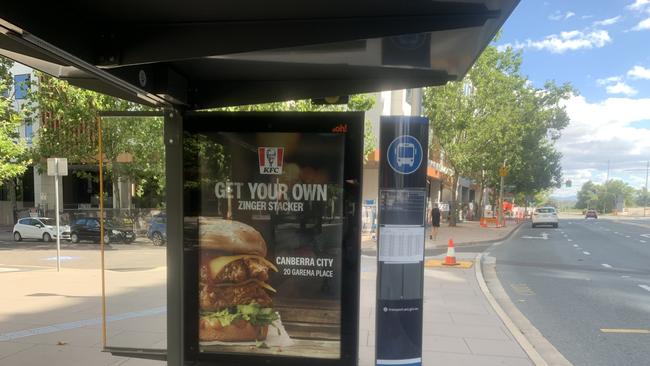 Federal Greens candidate for Canberra Tim Hollo is calling for the ACT Government to crackdown on public advertising. Picture: Julia Kanapathippillai