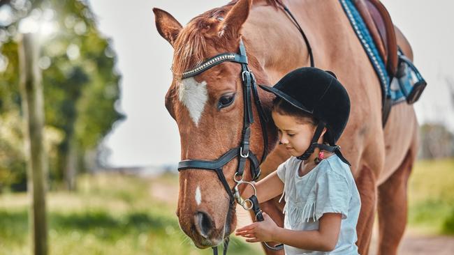 Saddle up at Abbotsford Park Horse RidingThis family-owned business can set you up with a steed to go exploring western hinterland rainforest trails. There are also pony rides for kids.Book here 