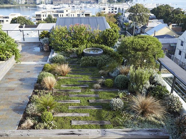 Home Decorate Gardening. Garden in Rozelle by landscape designer Adam Robinson of Adam Robinson Design, adamrobinsondesign.com. Photos Sue Stubbs.