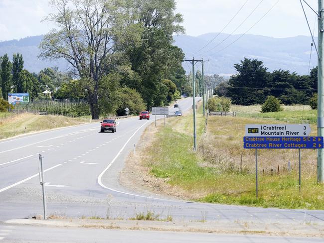 Pictured are about 120 Poplar trees along the Huon Highway opposite Willie Ciders Apple Shed at Grove will be removed so the State Government can build a right-hand turn into the Apple Shed.PICTURE: MATT THOMPSON