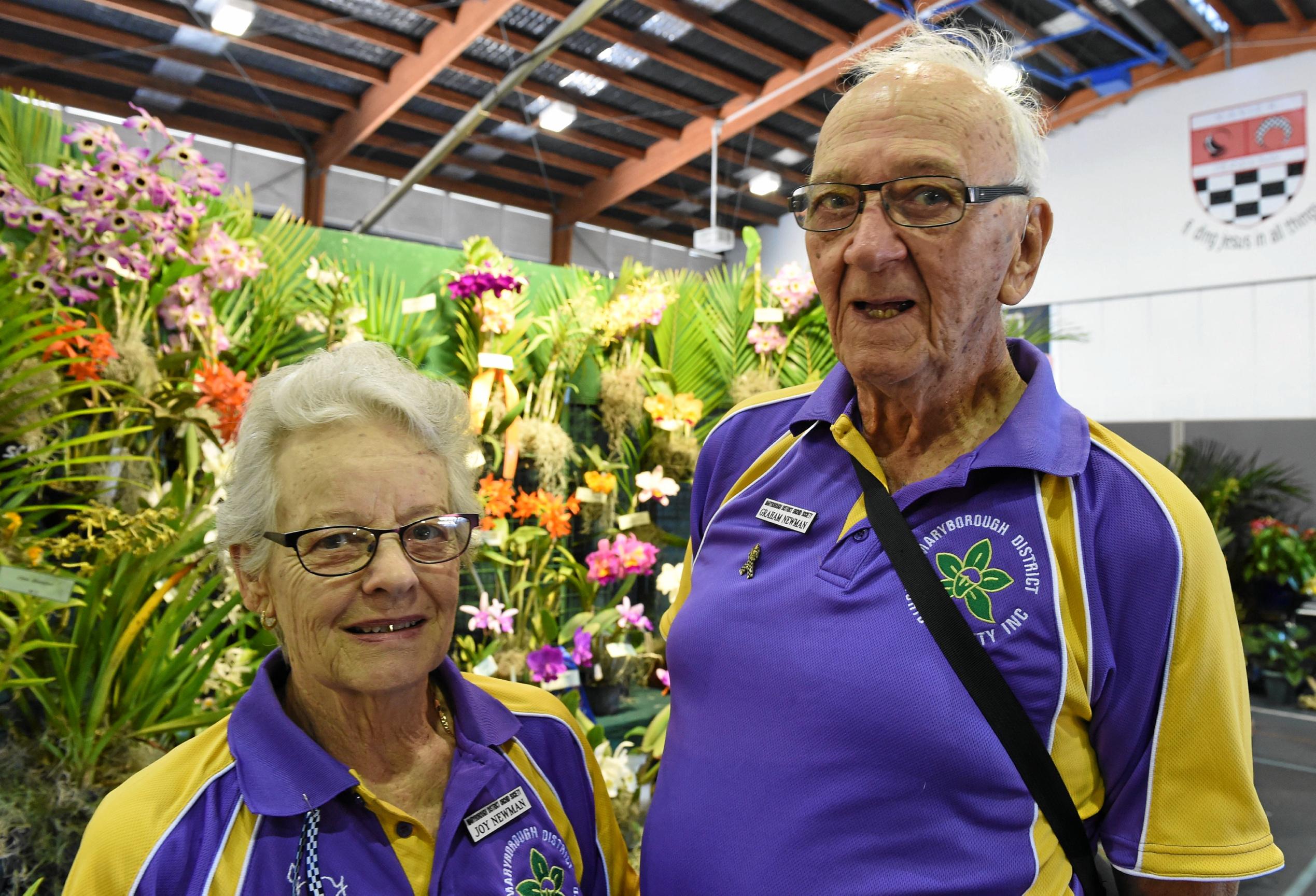 Hervey Bay Spring Orchid & Garden Spectacular - Joy and Graham Newman from the Maryborough District Orchid Society. Picture: Cody Fox