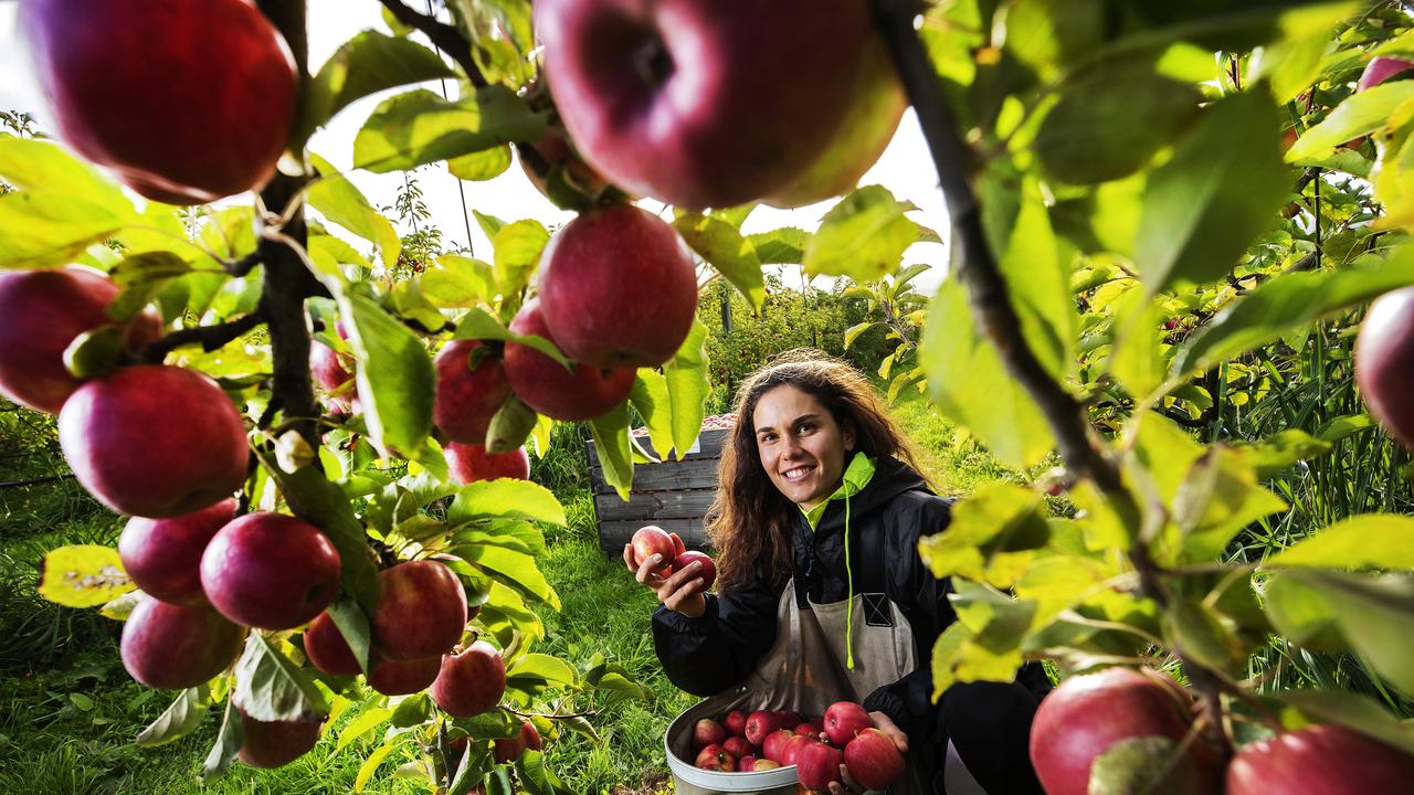 Mixed crop and livestock farm workers and miners are needed in the Central West. Picture Chris Kidd