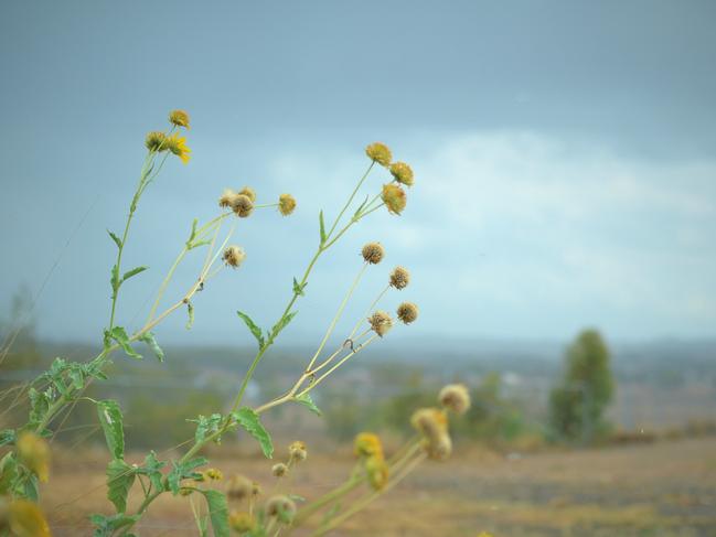 Rain in Warwick nature storm cloud storm season generic stock southern downs water weather