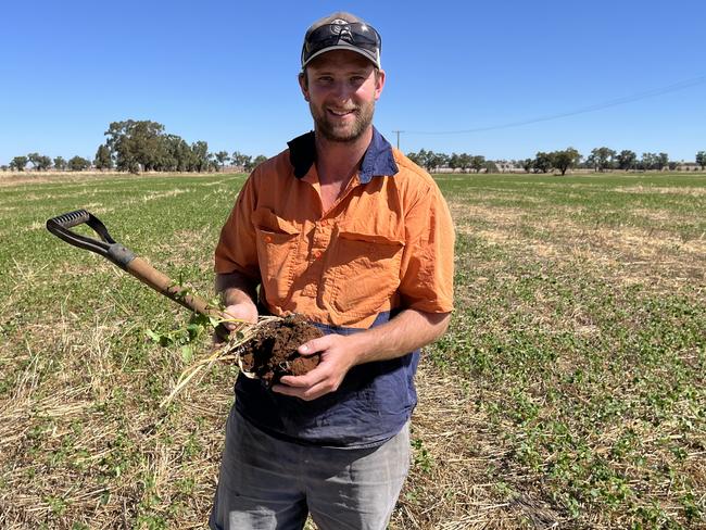 Dan Fox of Gladlea at Marrar in southern NSW is pictured in a crop of buckwheat. The buckwheat will be harvested at the end of April. Picture: Nikki Reynolds