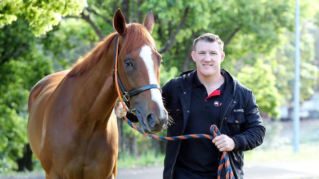 Paul Gallen with Te Akau Shark at Randwick Racecourse. Picture: Tim Hunter