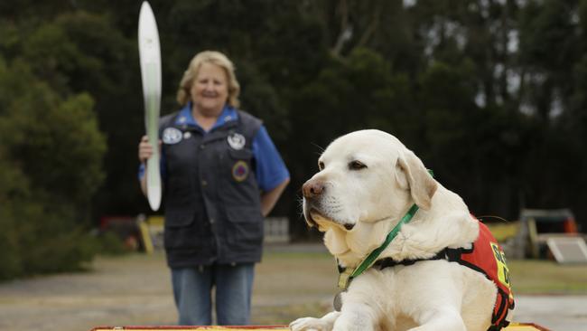 River is a retired search and rescue dog with trainer Julie Cowan. Picture: Valeriu Campan