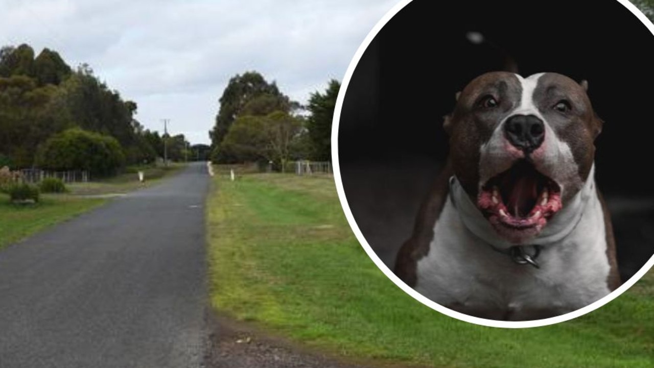 A woman was attacked by two American Staffordshire terriers on Trebeck Crt in Winchelsea on May 9, last year.