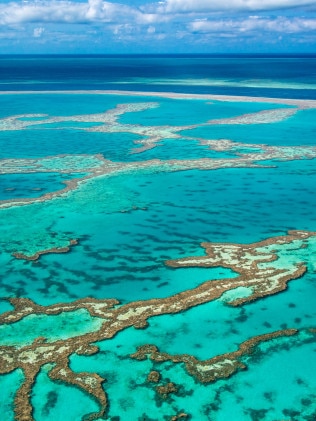 Marine Physicist Professor Peter Ridd has told Sky News data "unequivocally" reveals the Great Barrier Reef is in "extremely good condition." Picture: Getty Images