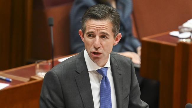 Senator Simon Birmingham criticised Senator Faruqi for her comments. Picture: NewsWire/ Martin Ollman