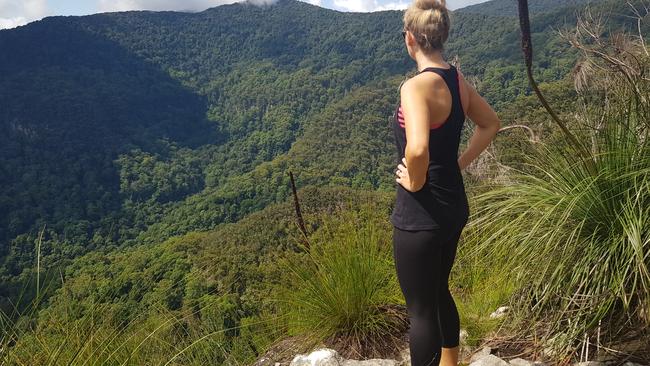 Dave's Creek at Binna Burra has some incredible views