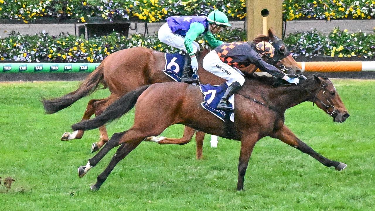 Shockletz arrived in time to win at Flemington. Picture: Reg Ryan/Racing Photos via Getty Images