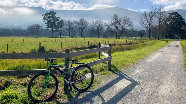 Ride to wineries for the afternoon to sip and sample regional produce on the Warburton Rail Trail.