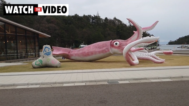 Town spends COVID relief money on giant squid