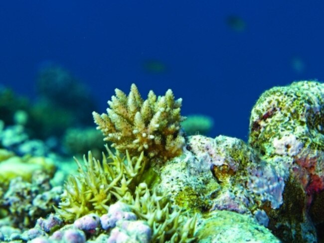 Concerns about the impact to the Great Barrier Reef.